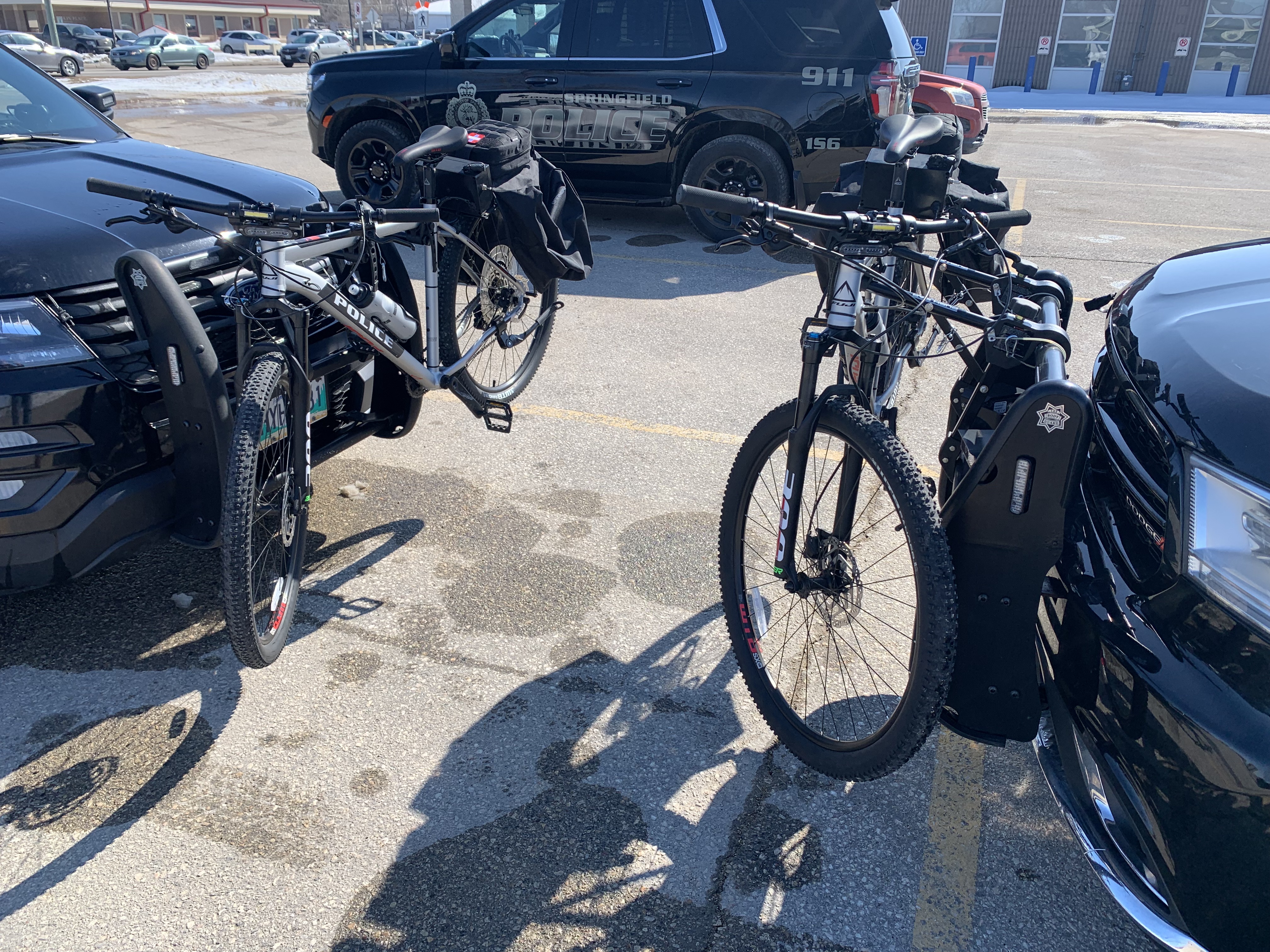 Grab-and-Go Bicycle  Carriers:  An Alternative to Rear Racks